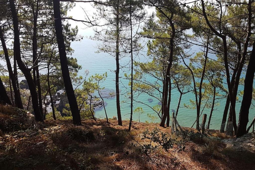 Apartmán Chez Nany, Chaleureux Duplex Sur Le Port De Morgat Crozon Exteriér fotografie